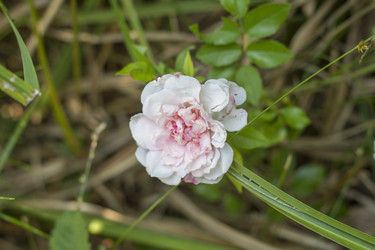 Similar image 5578034