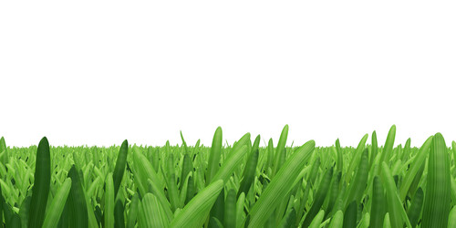 Similar image 5578037