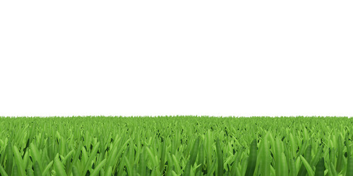 Similar image 5578039