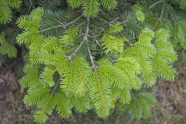 Similar image 5578044