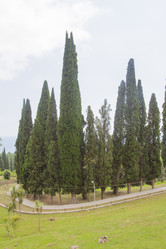 Similar image 5578050