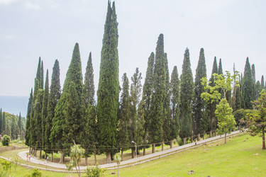 Similar image 5578051