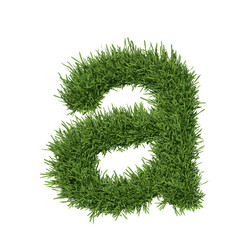 Similar image 5578072