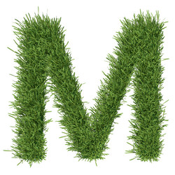 Similar image 5578093