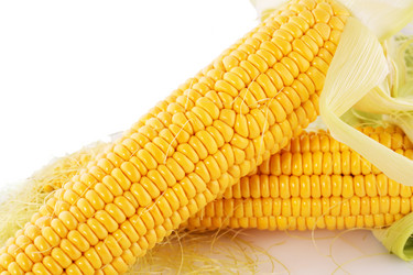 Similar image 5578178