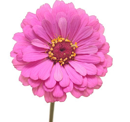 Similar image 5578276