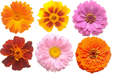 Similar image 5578277