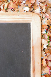 Similar image 5578289