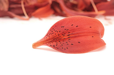 Similar image 5578308