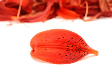 Similar image 5578309