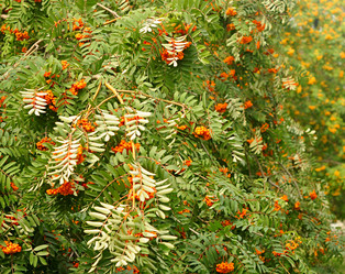 Similar image 5578331