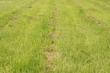 Similar image 5578333