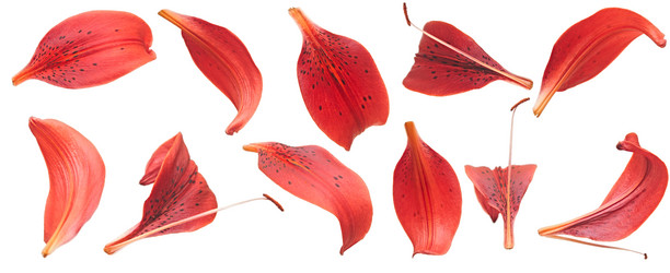 Similar image 5578334