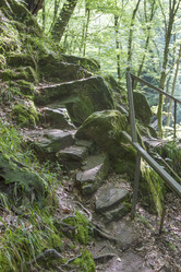 Similar image 5578341