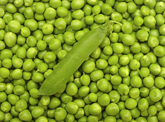 Similar image 5578349