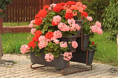 Similar image 5578354