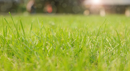 Similar image 5578356