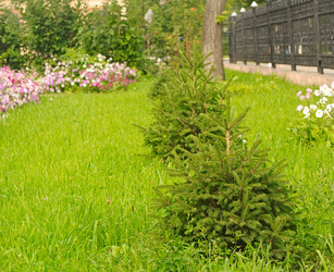 Similar image 5578359