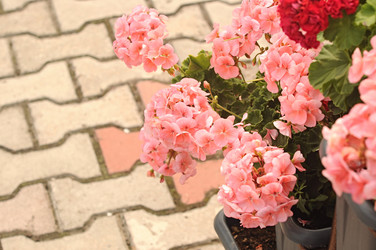 Similar image 5578360