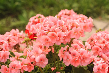 Similar image 5578362