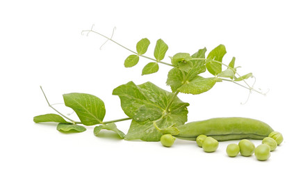 Similar image 5578364