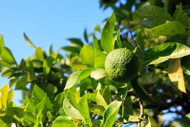 Similar image 5578372