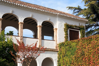 Similar image 5578373