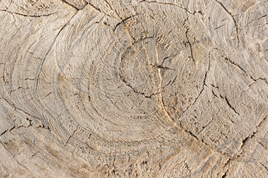 Similar image 5578400