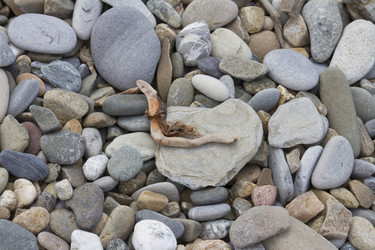 Similar image 5578422