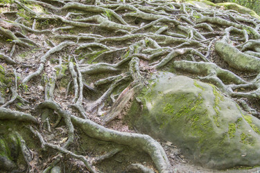 Similar image 5578429