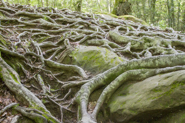 Similar image 5578430