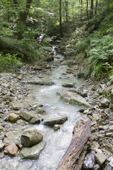 Similar image 5578433