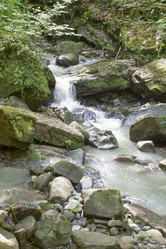 Similar image 5578515