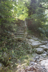 Similar image 5578833