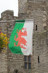 Similar image 5578877