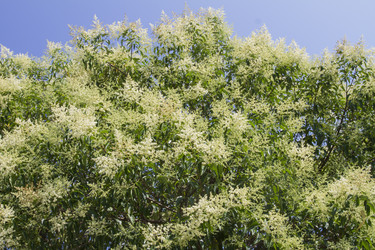 Similar image 5578879