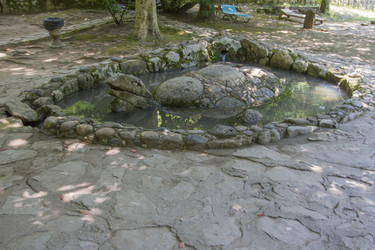 Similar image 5578884