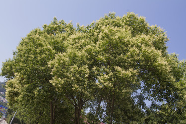 Similar image 5578885