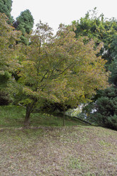 Similar image 5578887