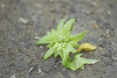 Similar image 5578891