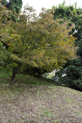 Similar image 5578895