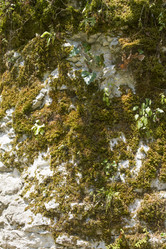 Similar image 5578913