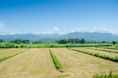 Similar image 5579016