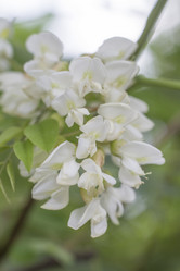 Similar image 5579080