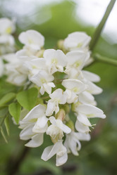 Similar image 5579082