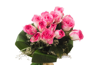 Similar image 5579348