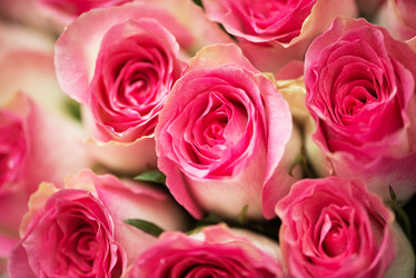 Similar image 5579450