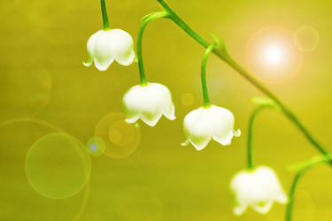 Similar image 5579540