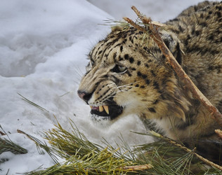 Similar image 5579571