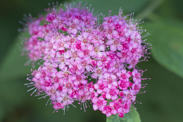 Similar image 5579593